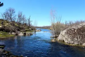 Cola-embalse-del-ponton