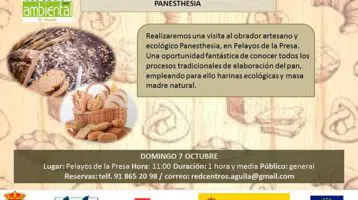 Visita-obrador-ecologico-panesthesia