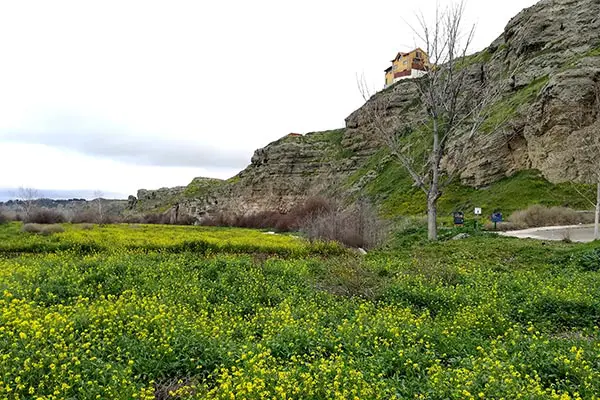 senda-soto-bayona-cortados-titulcia