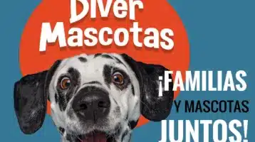 diver-mascotas